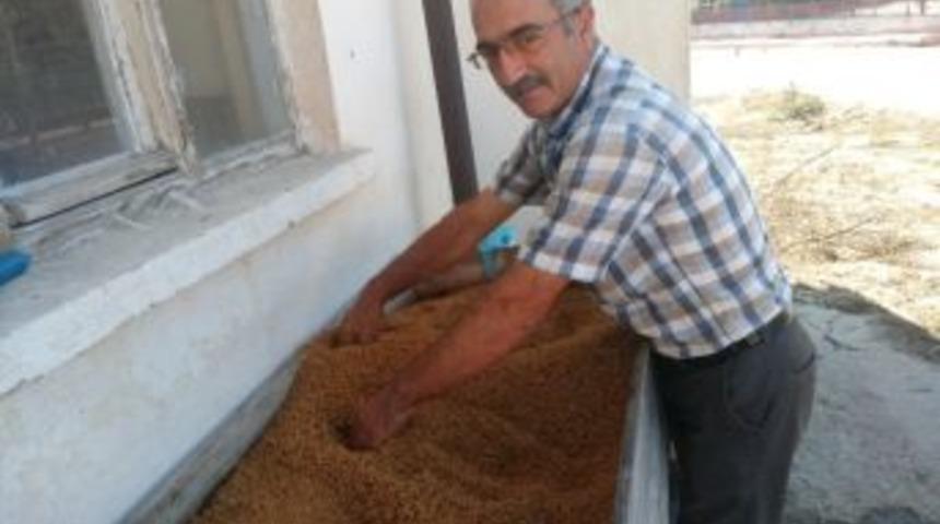 Şimdi Bulgur Zamanı