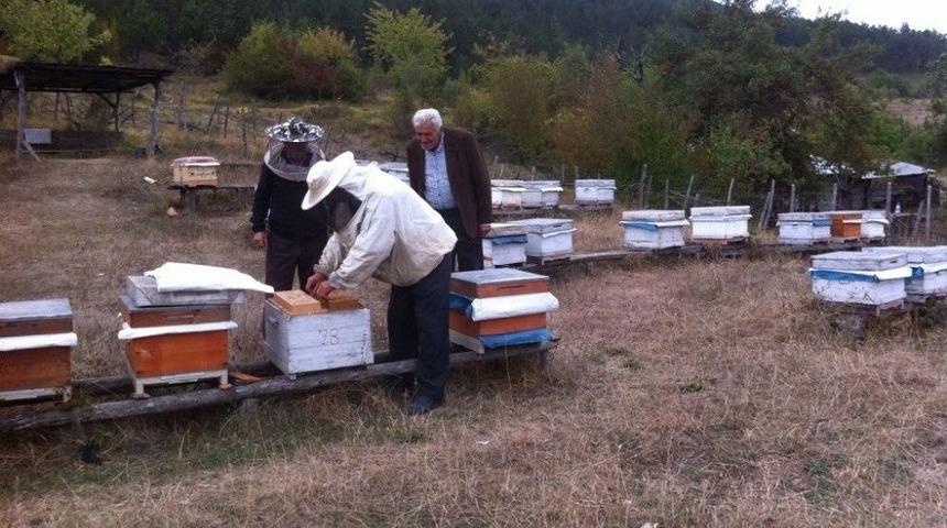 Zonguldak, Karab&uuml;k Ve Bartın&rsquo;da Tesis Edilen 11 Adet Bal Ormanı Arıcıların Y&uuml;z&uuml;n&uuml; G&uuml;ld&uuml;r&uuml;yor