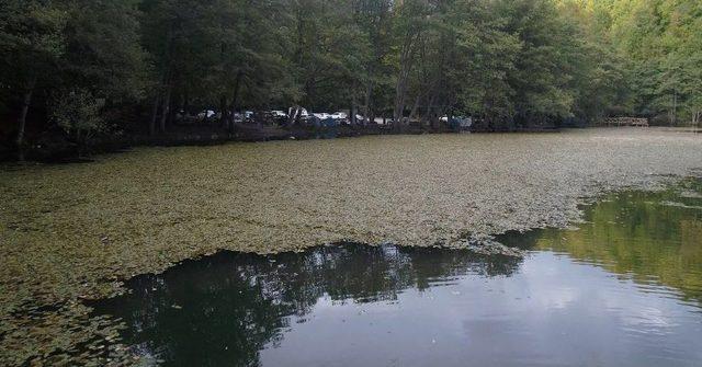 Yedigöller’in Havadan Görüntüsü Büyülüyor 1