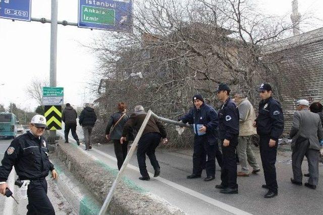 Lodos, Zincirle Bağlanan Ağacı Bile Devirdi