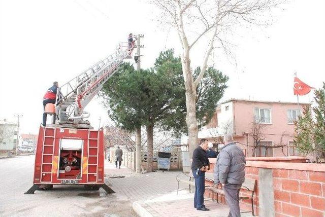 Çanakkale’de Lodos Hayatı Felç Etti