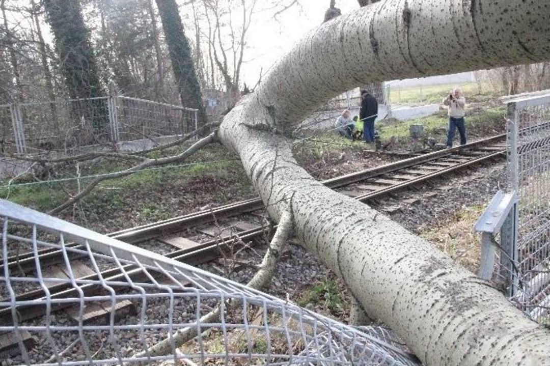 Şiddetli Lodos Minareyi Yıktı