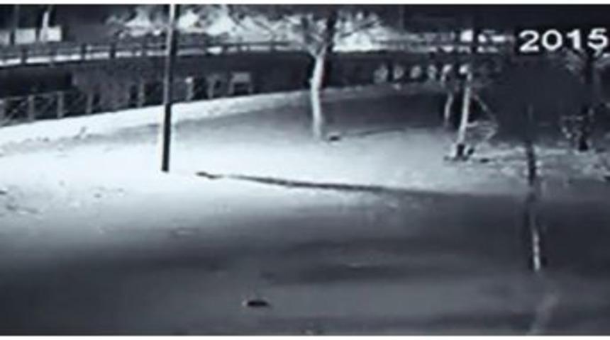 Timsah Arenanın Vincinin Devrilme Anı Kameralara Yansıdı