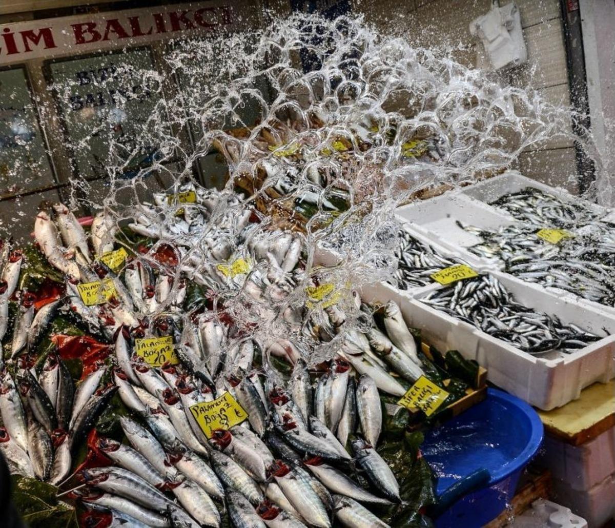 İstanbul&rsquo;da Balık Fiyatları Cep Yakıyor