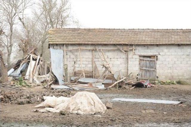 Lodos Çanakkale’de Can Aldı