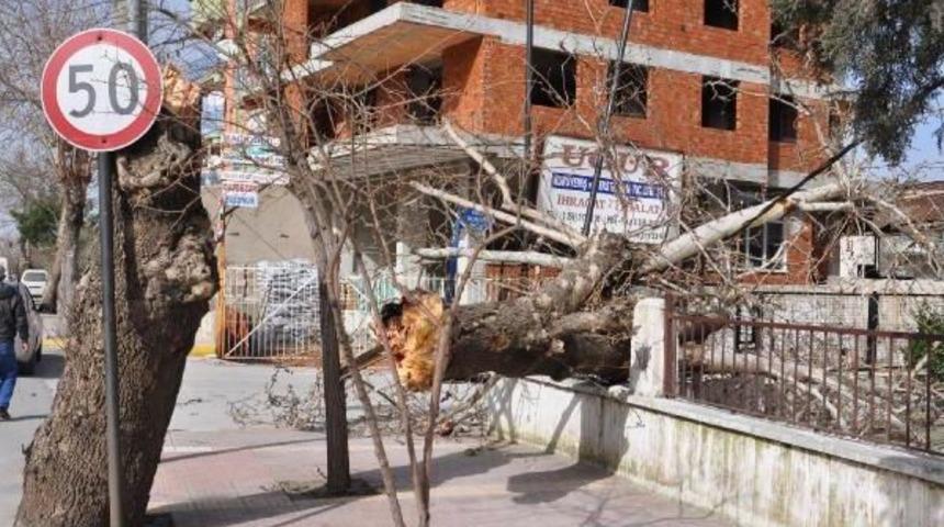 Şiddetli Lodos Denizli'de &Ccedil;atıları U&ccedil;urdu