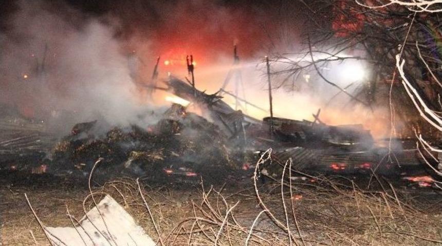 Sakarya&rsquo;da &Ccedil;ıkan Yangında 4 B&uuml;y&uuml;kbaş Hayvan Telef Oldu