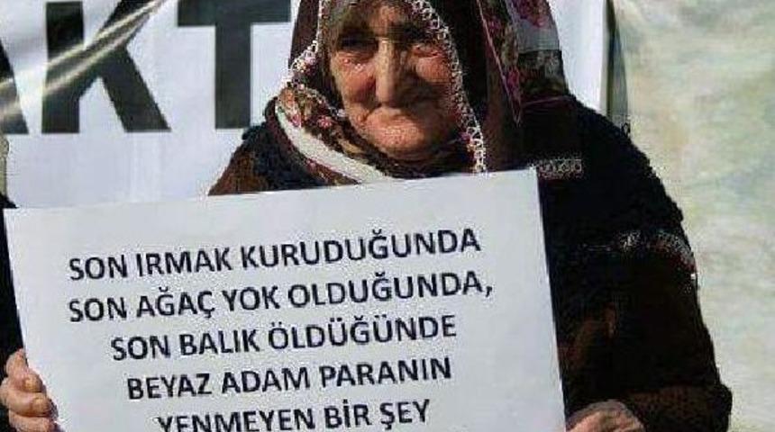 Şavşat'ta, Çağlayan Hes'in 'çed Olumlu' Raporu Iptal Edildi