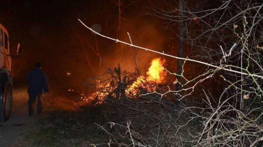 Bafra&rsquo;da Orman Yangını