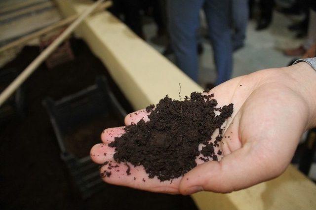 Tosya’da 5 Milyon Solucan İle Gübre Üretiliyor 2