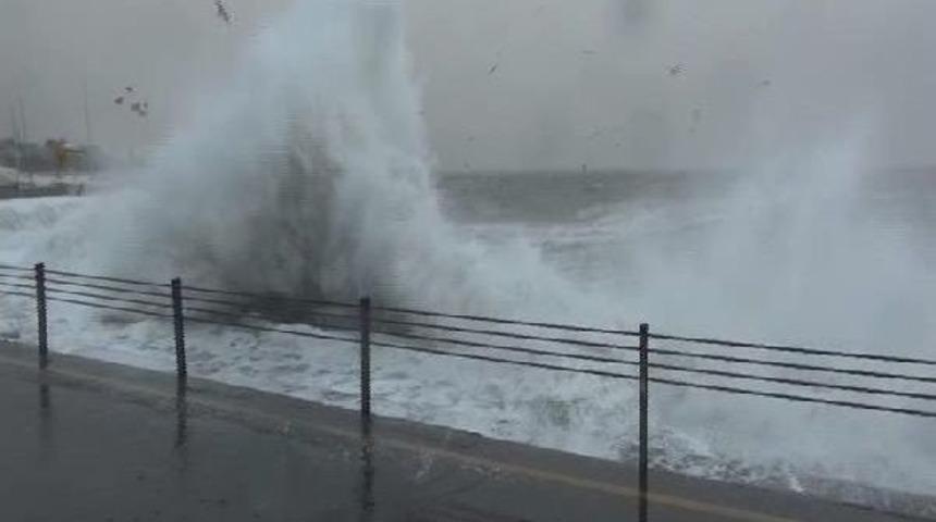 Caddebostan'da Lodos Dehşeti...