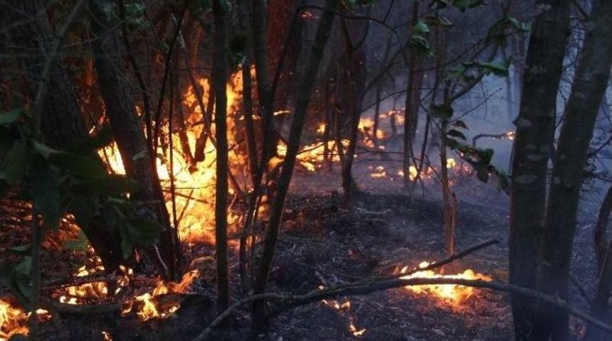 Zonguldak&rsquo;ta Alevler Arasında B&uuml;y&uuml;k Panik