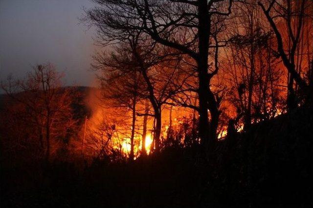 Zonguldak’ta Alevler Arasında Büyük Panik