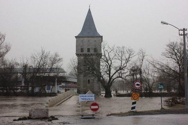 Edirne’de Er Meydanında Sokak Köpekleri Mahsur Kaldı