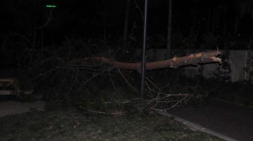 Lodosun Bilon&ccedil;osu Ağır Oldu