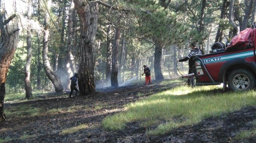 Kargı&rsquo;da Orman Yangını