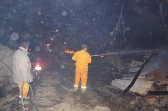 Samsun'da Ormanlık Alanda Yangın: 7 Ev Kullanılamaz Hale Geldi