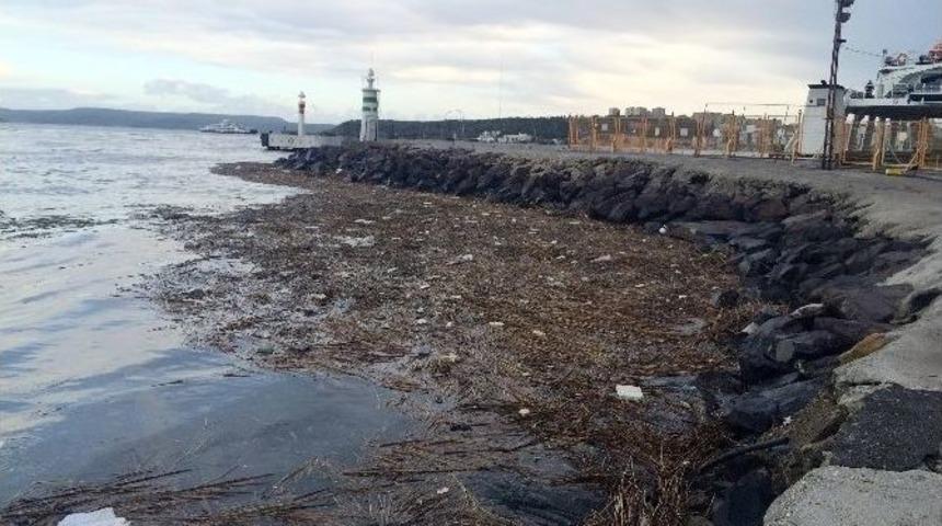 &Ccedil;anakkale Boğazı &Ccedil;&ouml;ple Doldu