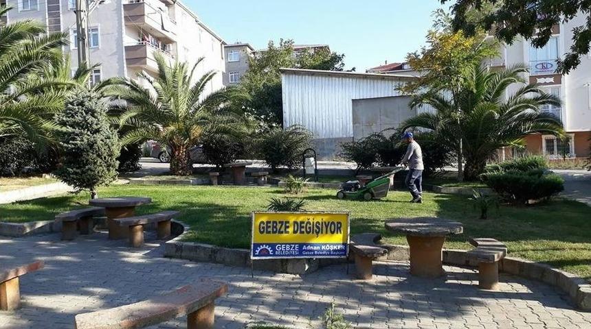 Gebze Parklarında Sonbahar &Ccedil;alışması