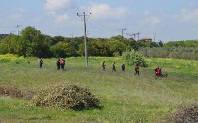 Arsada Bulunan Kafatası, Kayıp Alzheimer Hastasına Ait Çıktı