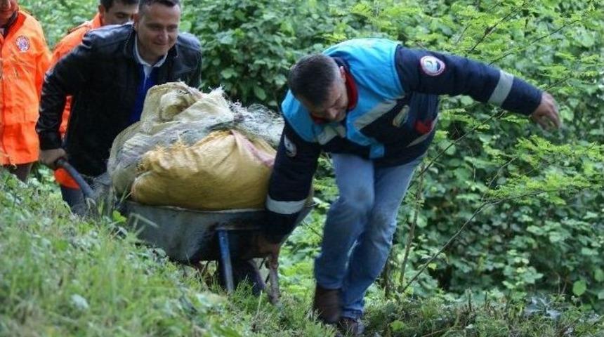 Ordu&rsquo;da 320 Kg Balık İmha Edildi