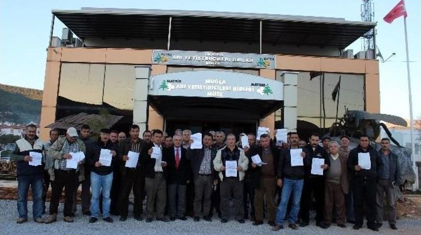 Arıcılara Vergi M&uuml;jdesi