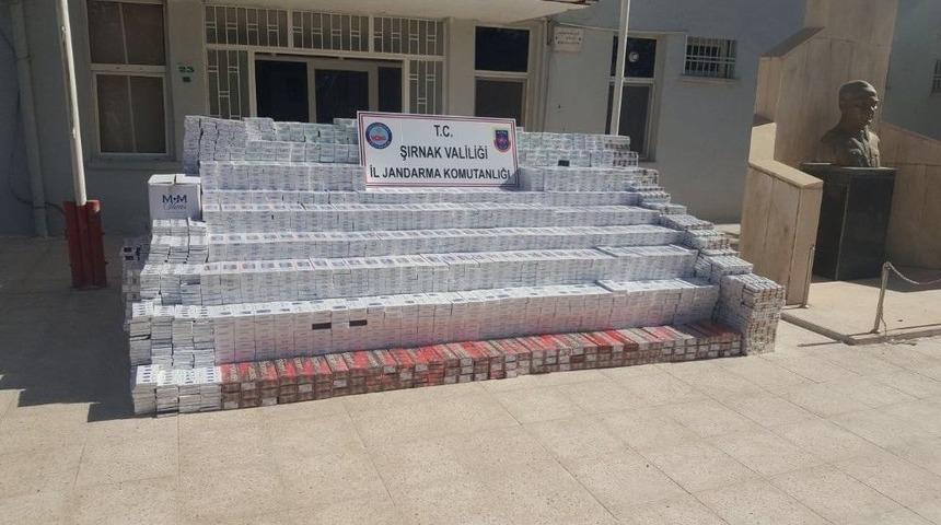 Şırnak&rsquo;ta 83 Bin 830 Paket Sigara Ele Ge&ccedil;irildi