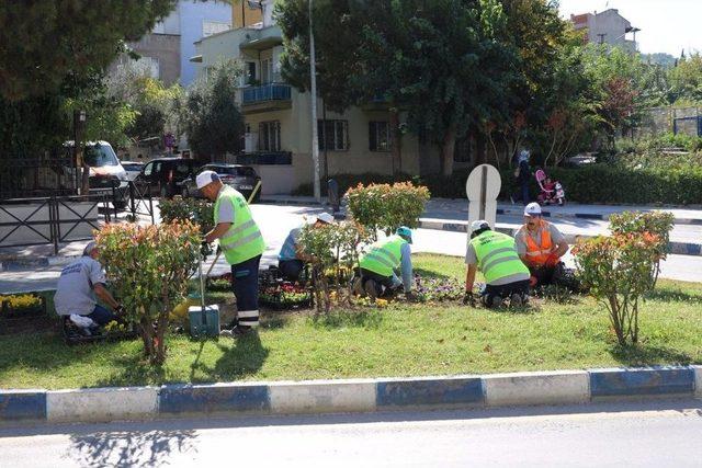 Yunusemre’de Çevre Düzenlemeleri Sürüyor