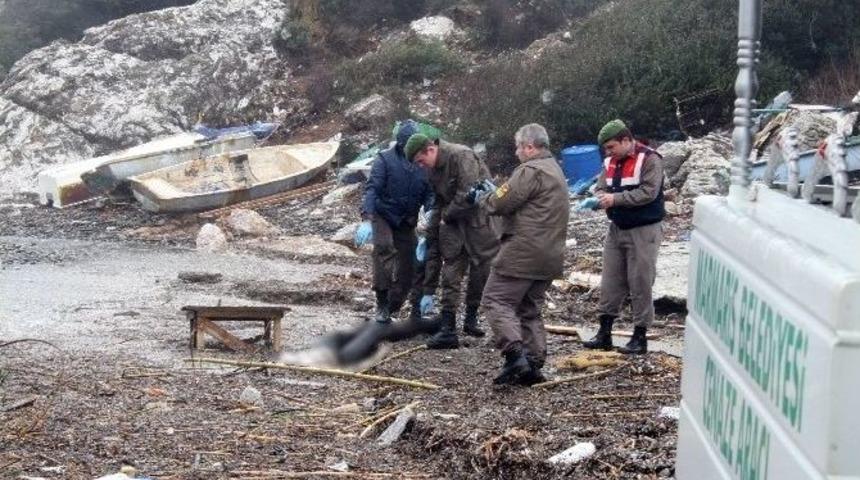 Marmaris&rsquo;te Kıyıya Ceset Vurdu