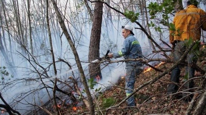 Zonguldak&rsquo;taki Orman Yangını Kontrol Altına Alındı