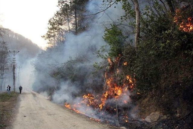 Zonguldak’taki Orman Yangını Kontrol Altına Alındı