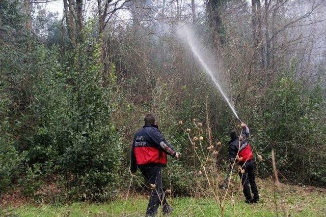 Zonguldak’taki Orman Yangını Kontrol Altına Alındı