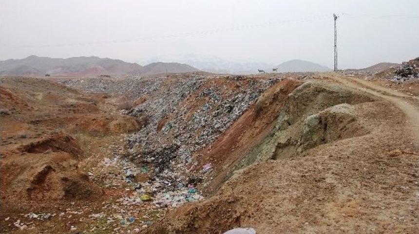 Iğdır&rsquo;da Yaban Hayvanlar İ&ccedil;in Doğaya Yem Bırakıldı