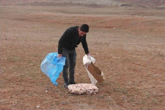 Iğdır’da Yaban Hayvanlar İçin Doğaya Yem Bırakıldı