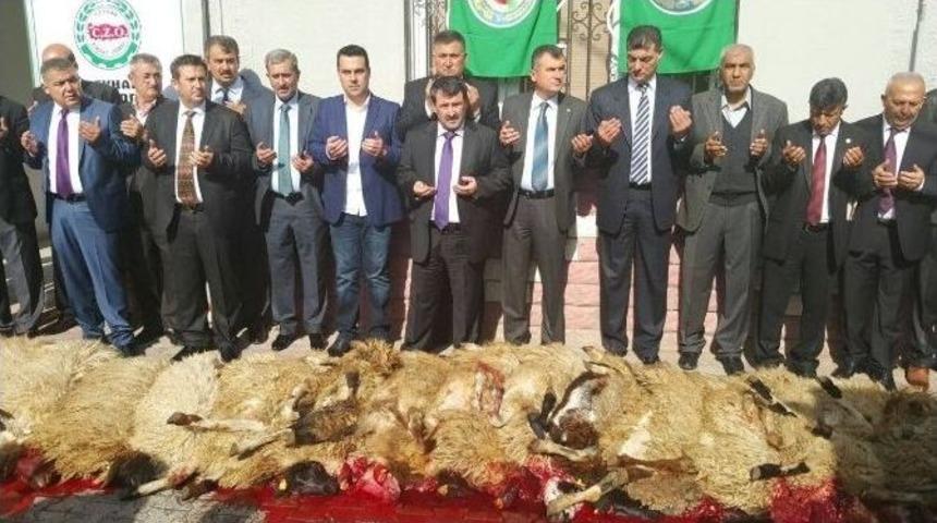 Ceyhan Ziraat Odası&rsquo;nda Bulut D&ouml;nemi