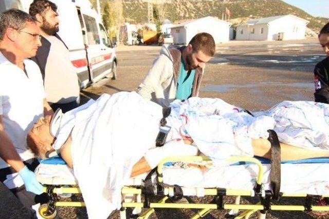 Ceviz Ağacından Düştü, Ambulans Helikopterle Sevk Edildi