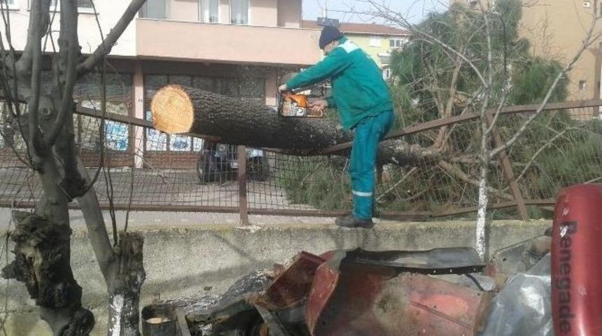 İzmit Belediyesi Seferber Oldu