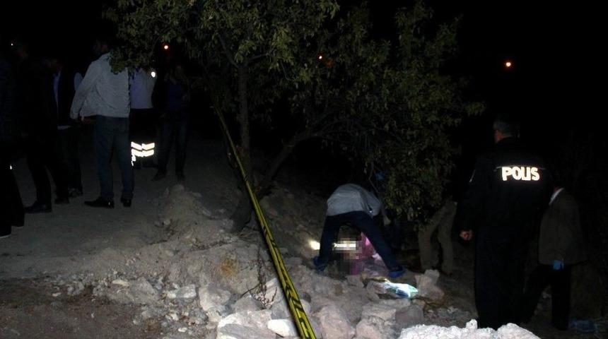 Yavru K&ouml;peğin Sesine Gittiler, Cesetle Karşılaştılar