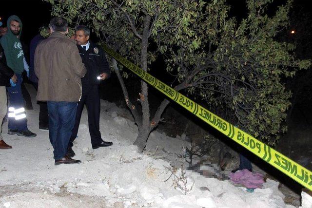 Yavru K&ouml;peğin Sesine Gittiler, Cesetle Karşılaştılar 2