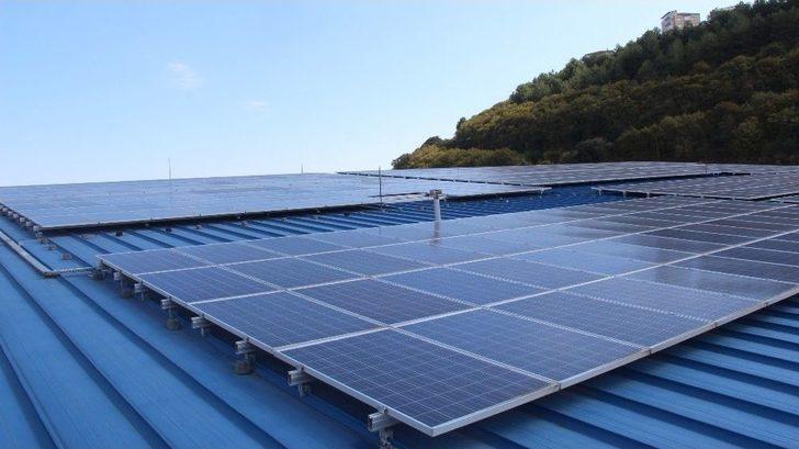 Çatıya Güneş Panelleri Koydu, Yılda 130 Bin Tl Kazandı G2