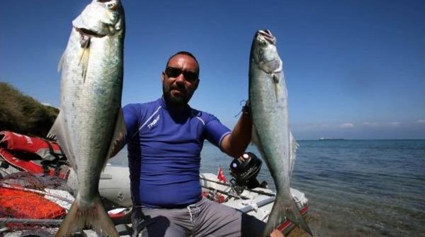 Adana'da 8 Bin Ton Su &Uuml;r&uuml;n&uuml; &Uuml;retildi