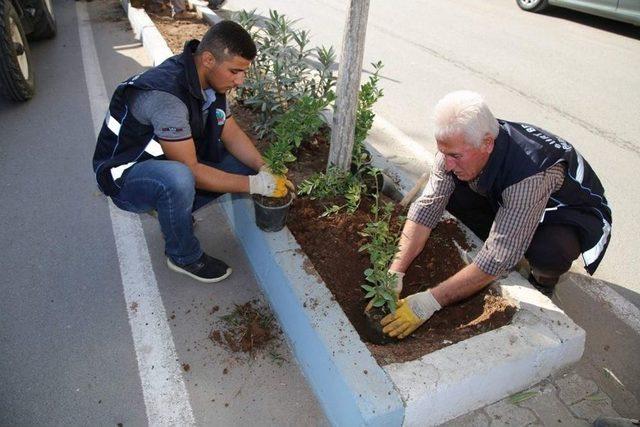Siirt&rsquo;te Park Ve Bah&ccedil;elerden Bakım Ve Onarım &Ccedil;alışmaları 2