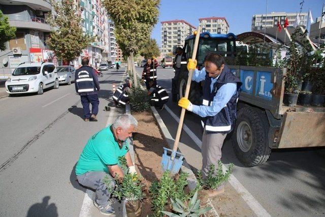 Siirt&rsquo;te Park Ve Bah&ccedil;elerden Bakım Ve Onarım &Ccedil;alışmaları 3