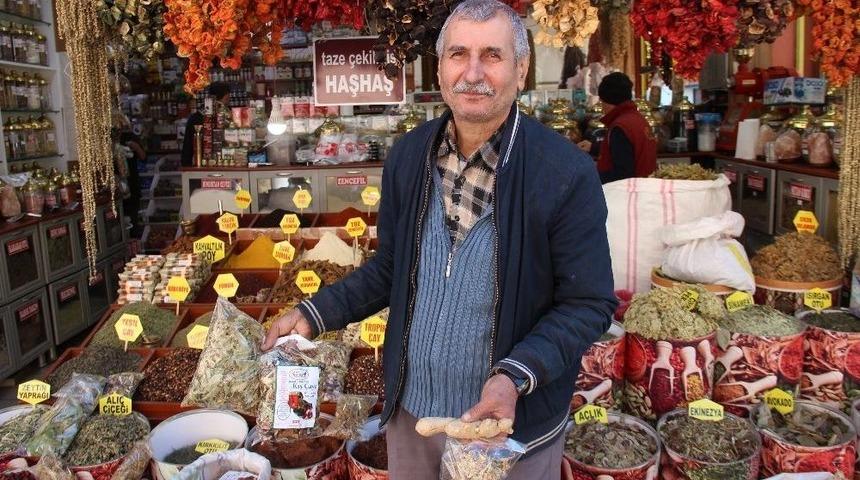 Gribal Enfeksiyonlardan Kurtulmanın Doğal &Ccedil;&ouml;z&uuml;m&uuml; Kış &Ccedil;ayı