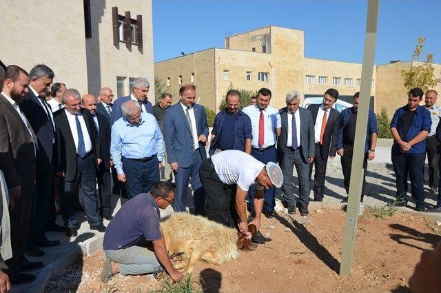 Harran Üniversitesi Rektörlüğü Osmanbey’e Taşındı