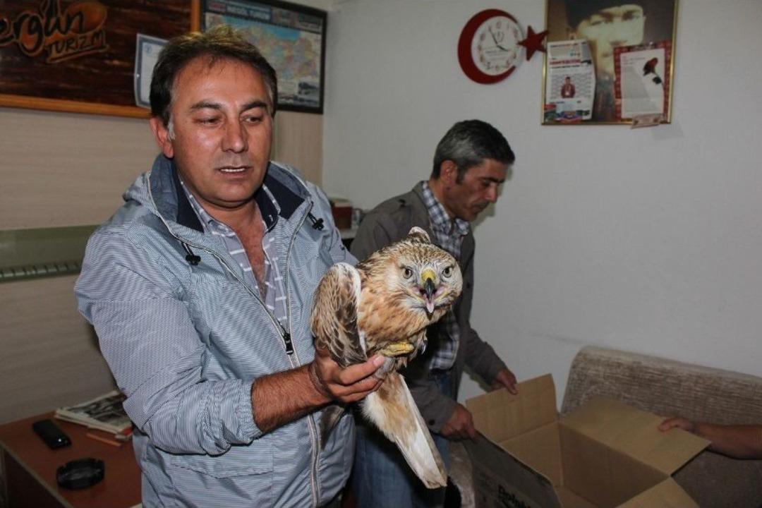 Yaralı Şahine Minib&uuml;s Şof&ouml;r&uuml; Sahip &Ccedil;ıktı