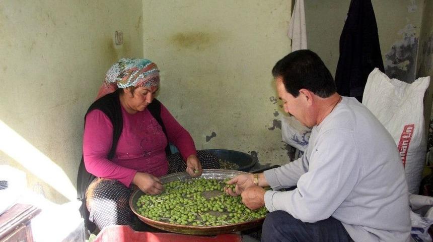 Kilis&rsquo;te Sofralık Zeytin Piyasada