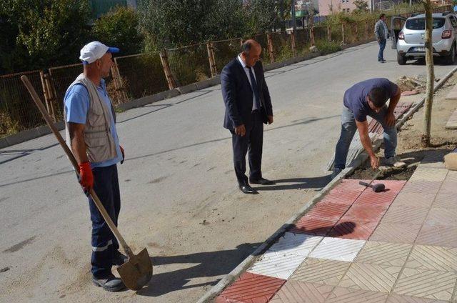 Yunusemre’den Barbaros’ta Hummalı Çalışma