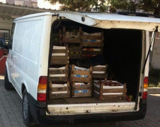 2 Ton Meyve &Ccedil;alan Kayınpederle Damadı Yakalandı 2