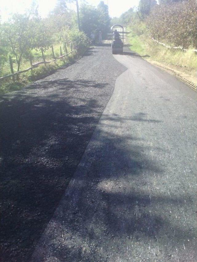 Ak&ccedil;akoca Ayazlı Mahallesinde Asfaltlama &Ccedil;alışmalarına Başladı 2